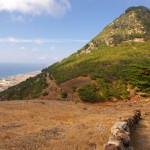 Madeira Archipelago