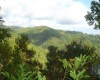 Levada Queimadas