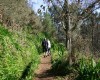 Levada Serra do Faial