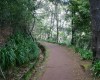 Levada Serra do Faial